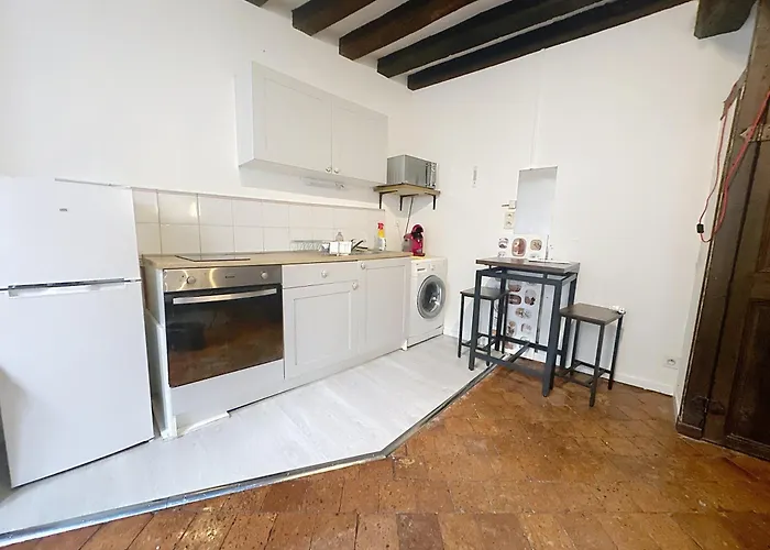 T2 Duplex Centre Orleans Cour