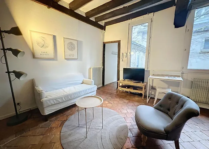 T2 Duplex Centre Orleans Cour